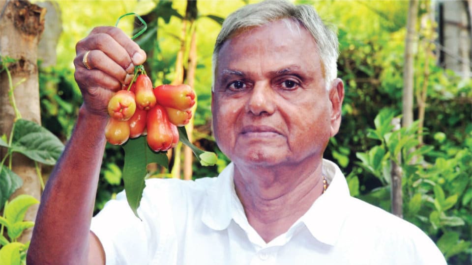 City’s plant grafting expert Dr. C.N. Mruthyunjayappa passes away