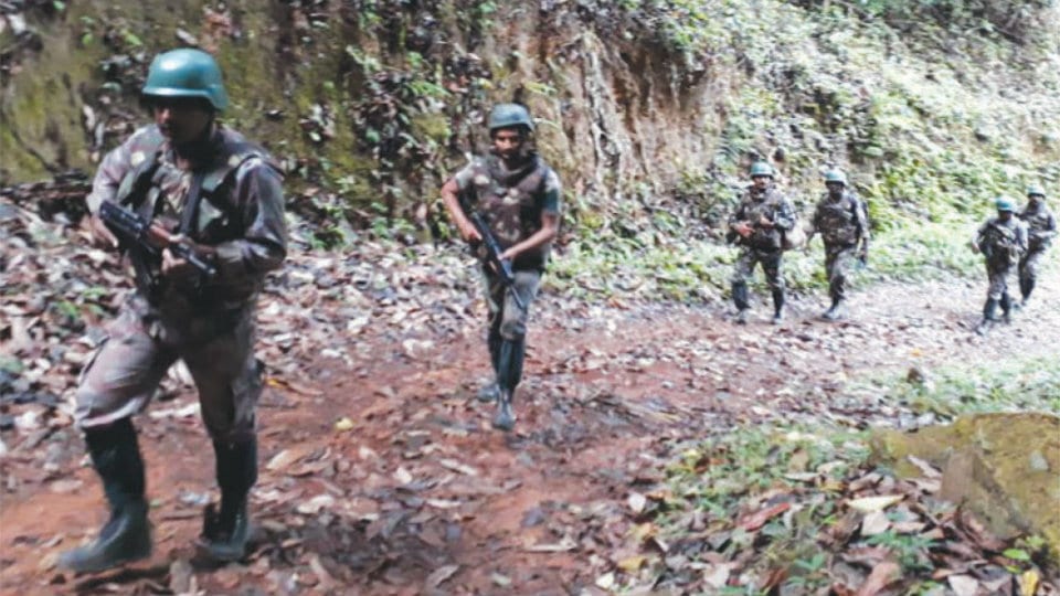ANF carries out combing operation in Kodagu
