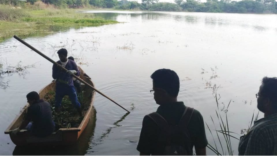 Forest officials collect dead fish samples from Kukkarahalli Lake