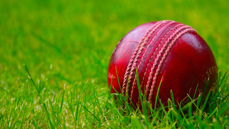 Cricket: Hemanth shines