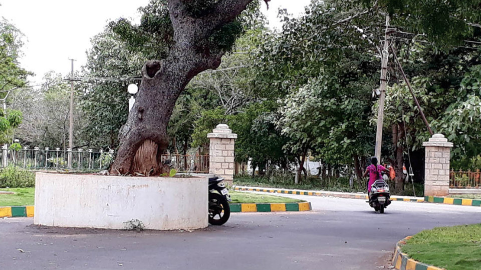 Unscientific Circle in Gangothri campus