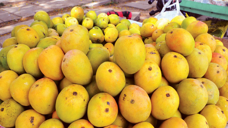 How Reliance became world’s largest exporter of Mangoes?