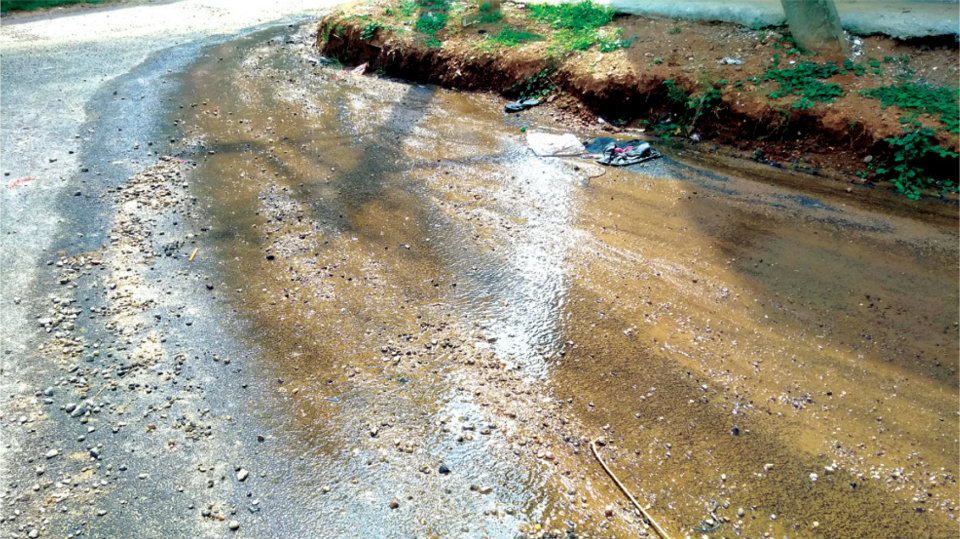 A criminal waste of water at Rajiv Nagar