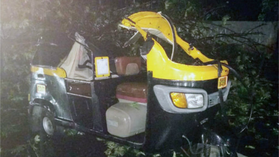Rain havoc: Passenger killed as tree falls on auto