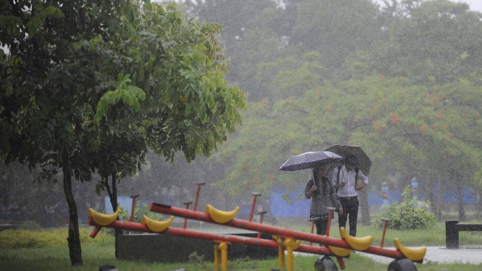 Monsoon to arrive in Karnataka on June 5