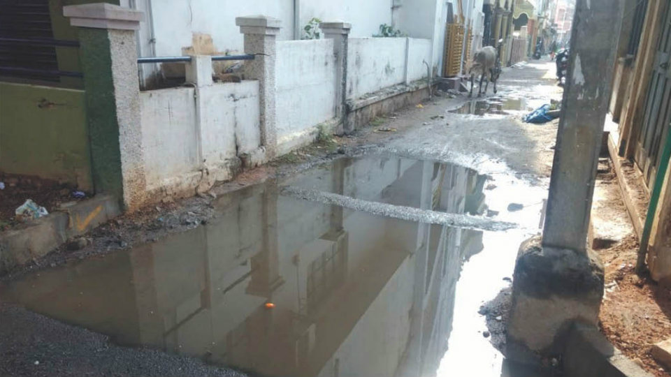 Sewage water menace on Renukacharya Temple Street