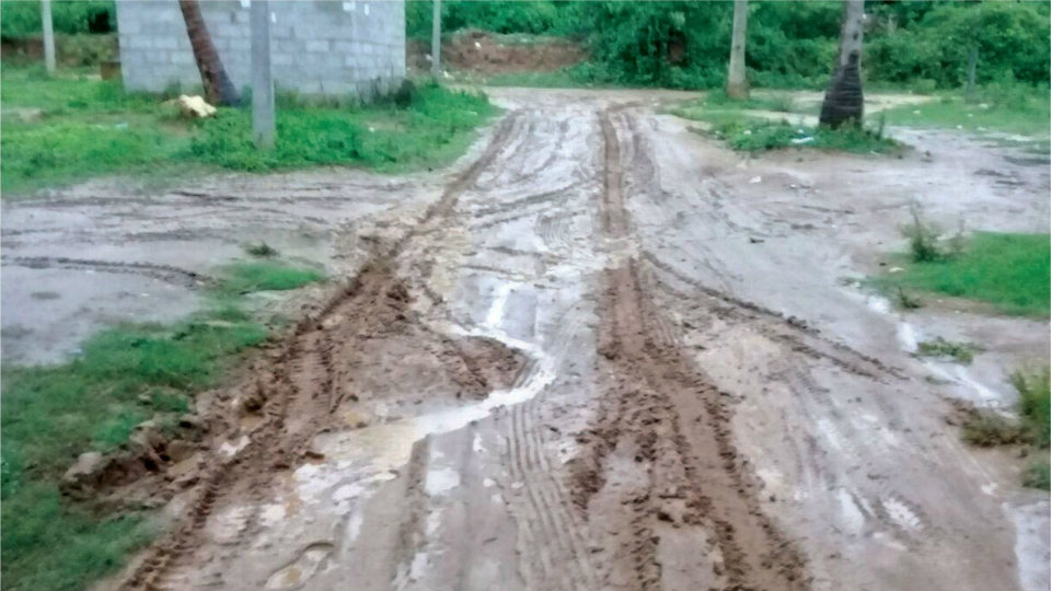 Will this road in S.S. Nagar be asphalted?