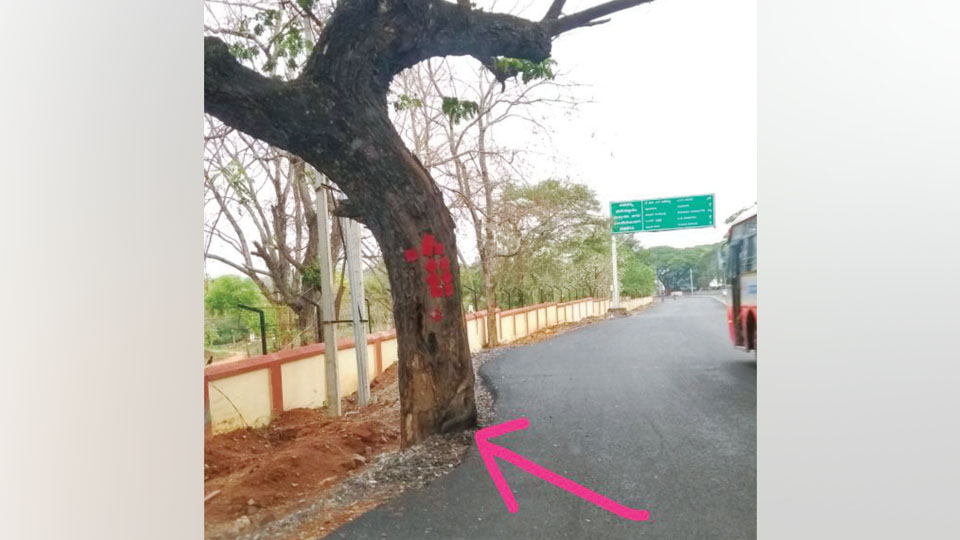 More on ‘widened’ Hunsur Road curve