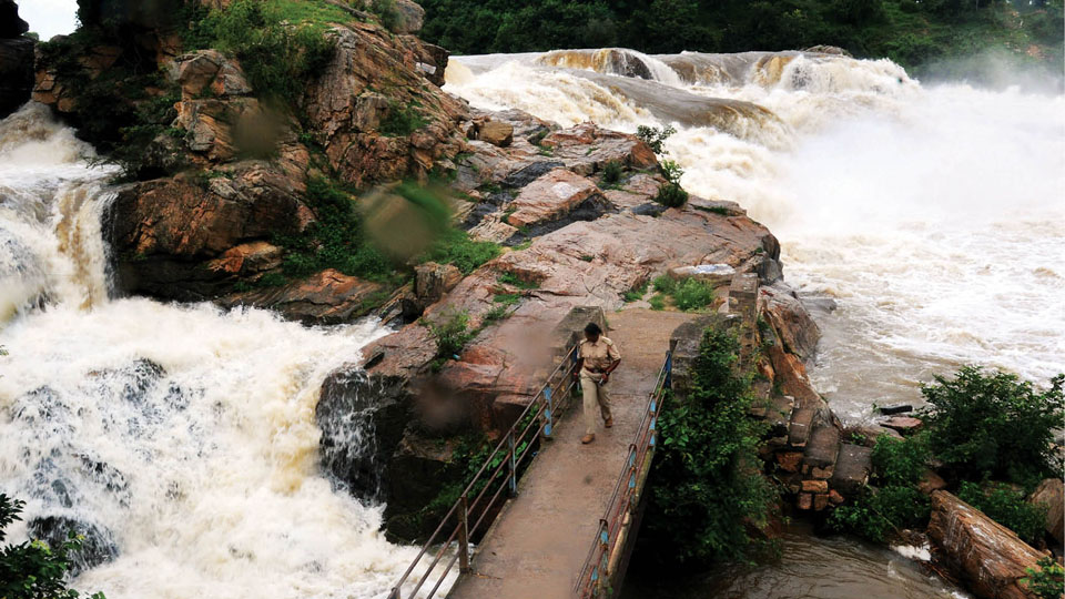 Chunchanakatte Falls: Beautiful but Dangerous