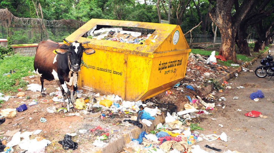 Overflowing dustbins on Mahadevapura-Rammanahalli Main Road
