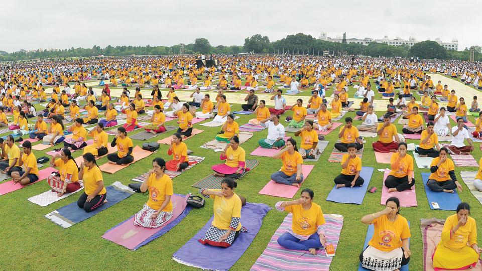 60,000 perform Yoga at Mysore Race Course - Star of Mysore