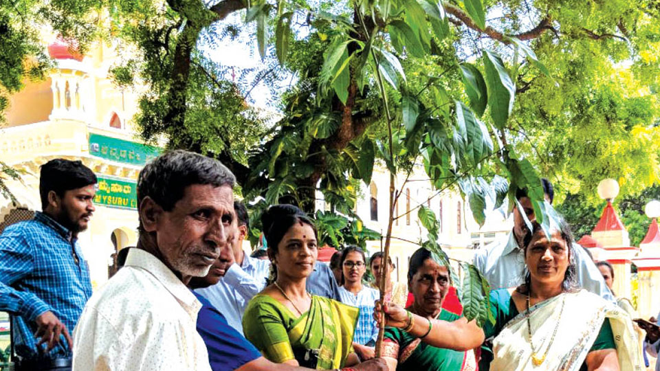 Laksha Vruksha project: MCC to plant 1.54 lakh saplings in 65 Wards