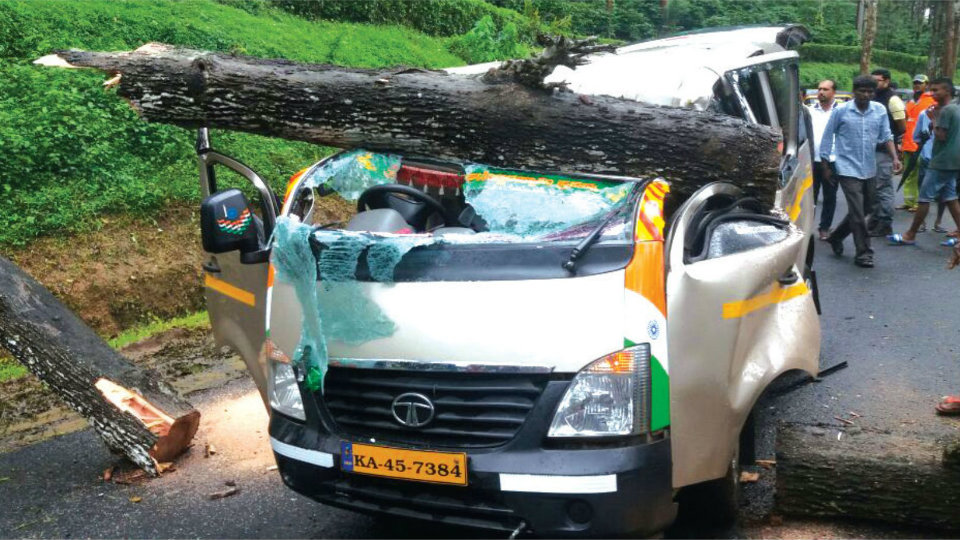One killed, two injured as tree falls on vehicle