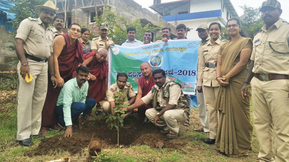Saplings planted at Bylakuppe