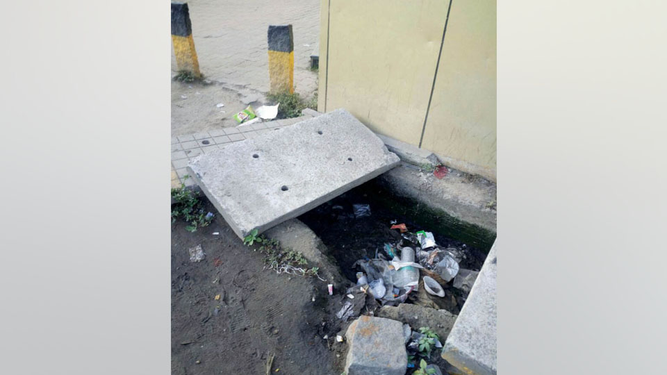 Plea to clean clogged drain on Ashoka Road