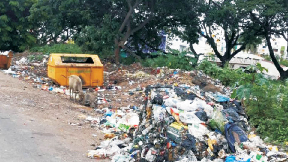 Plea to clear garbage in Rajivnagar