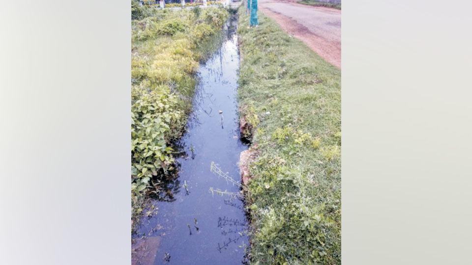Plea to clean drain in Srirampura