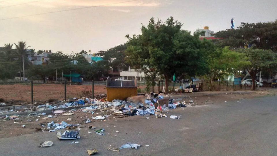 Plea to clear garbage at Vijayanagar