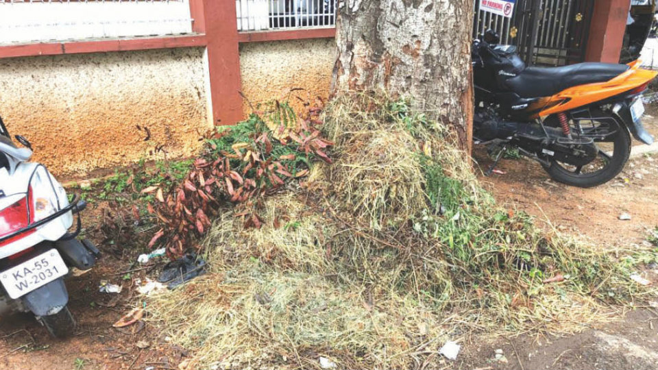 Dumped garbage not cleared in Kuvempunagar