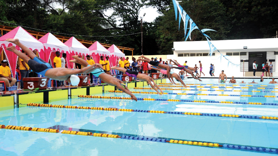 Swimming: VVCE wins overall title