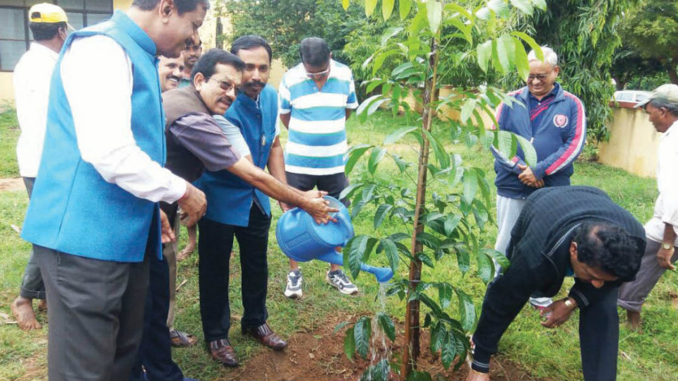 Residents Welfare Association holds tree-planting drive