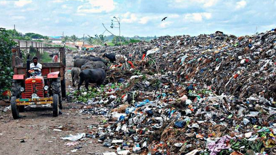 Illegal disposal  of waste becoming menace in district