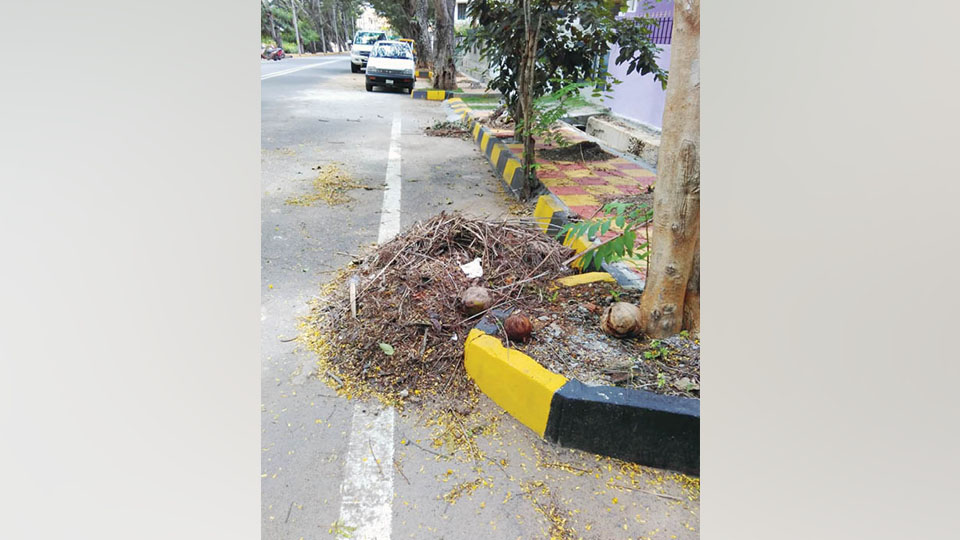 Stop heaping garbage in front of houses