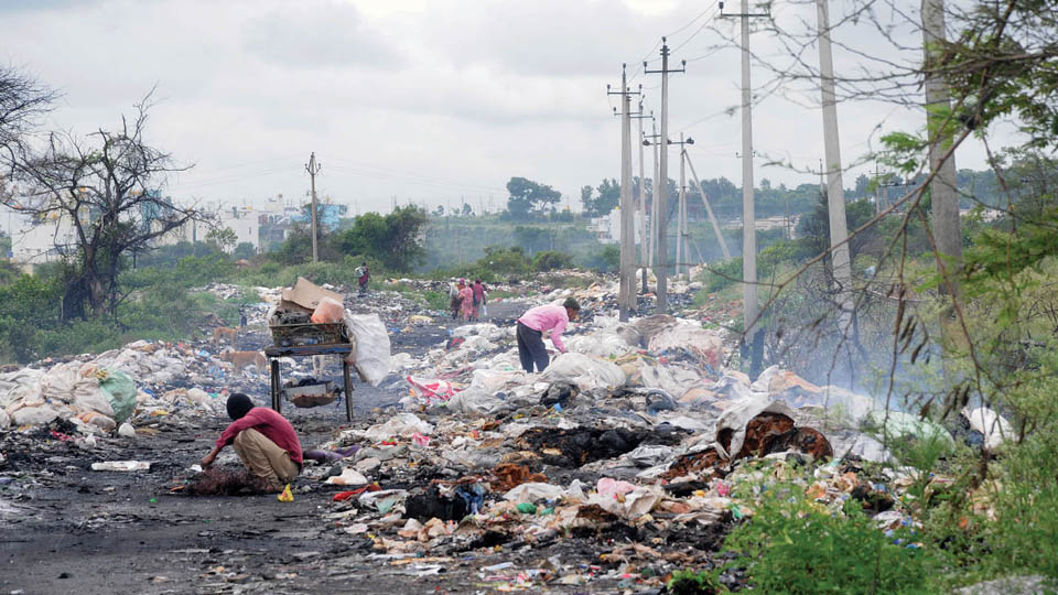 Mysuru roads turn make-shift garbage dumps