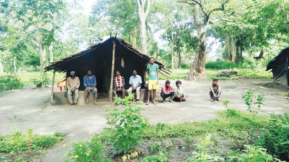 Tribals leading a miserable life in Periyapatna taluk