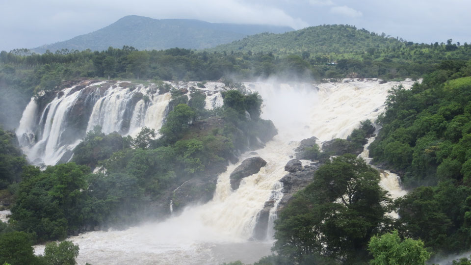 Twin waterfalls come alive at Shivanasamudra