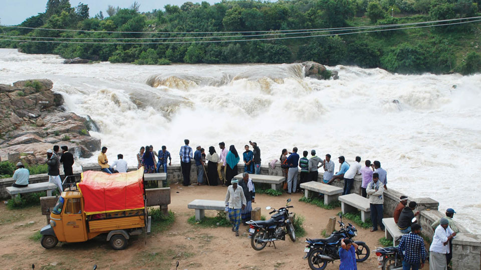 Dhanushkoti waterfalls attract tourists