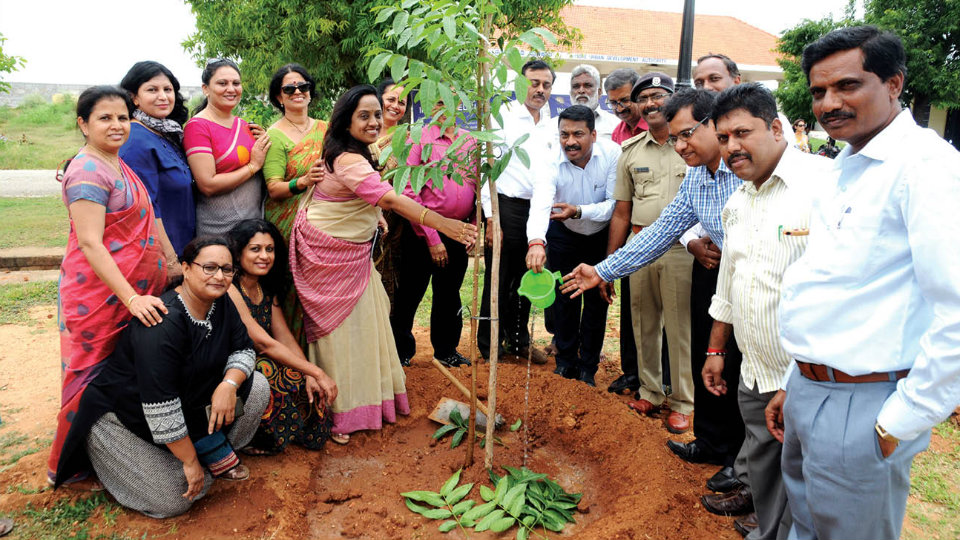 Inner Wheel Clubs plant 550 saplings at Torch Light Parade Grounds in city
