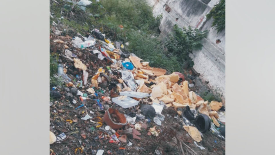 Uncleared garbage at Siddarthanagar