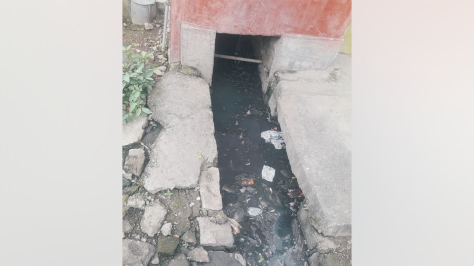 Plea to clean up drains in Gandhinagar