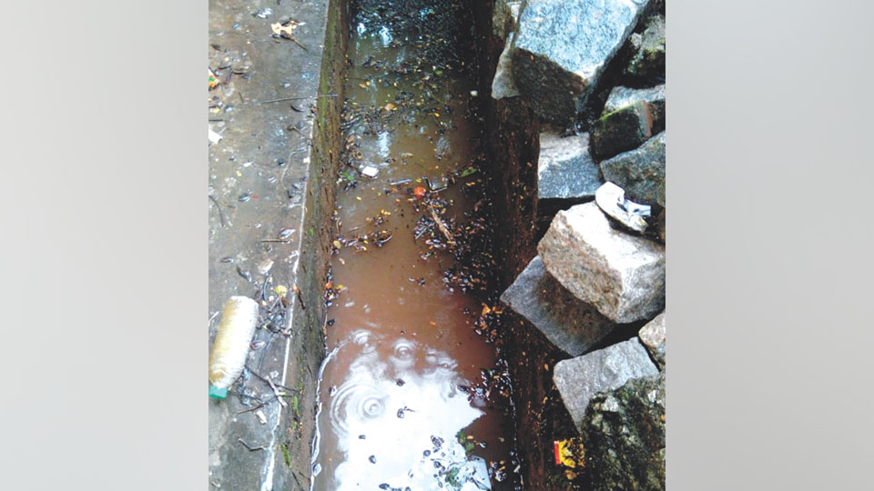 Plea to clean drains in Jayanagar