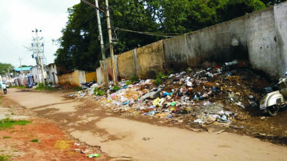 Plea to clear garbage on C.V. Road