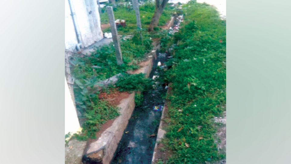 Plea to clean drain in Rajivnagar