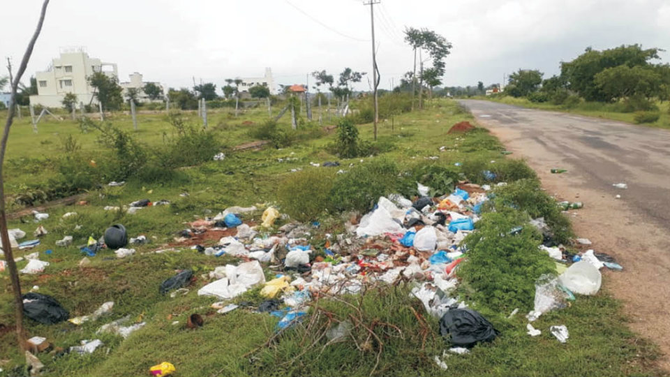 Roadside space turns into garbage dumping place in Vijayanagar