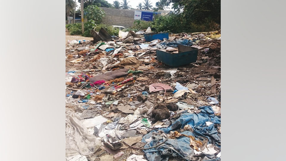 Indiscriminate dumping, burning of waste materials in Bannimantap