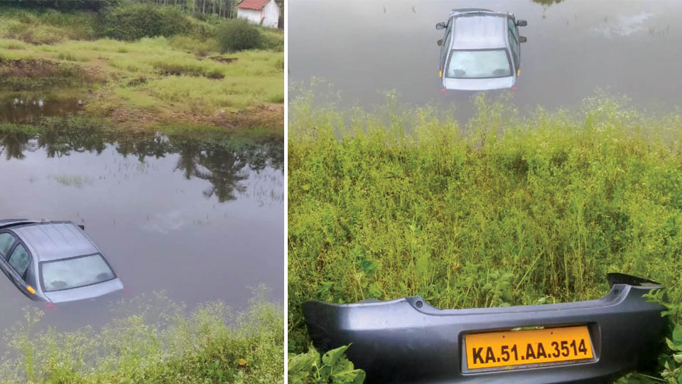 Sleepy driver plunges car into pond