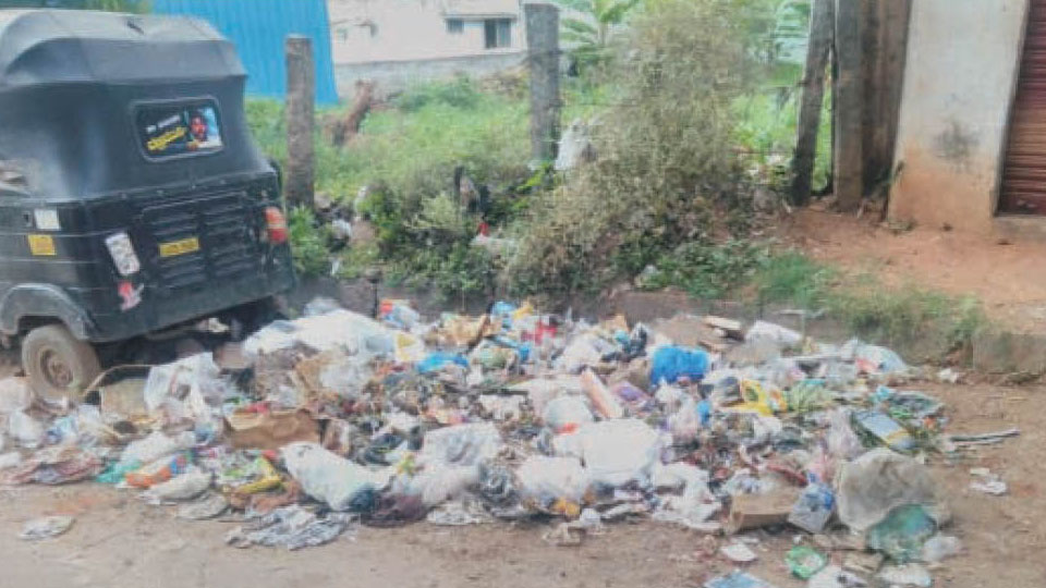 Plea to clear garbage near Surya Bakery at Hebbal