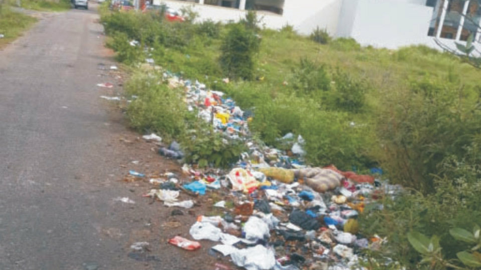 Clear this scattered garbage at Rajiv Nagar