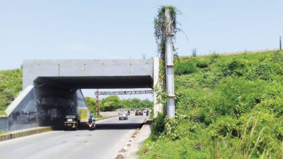Dangerous and pathetic underbridge roads
