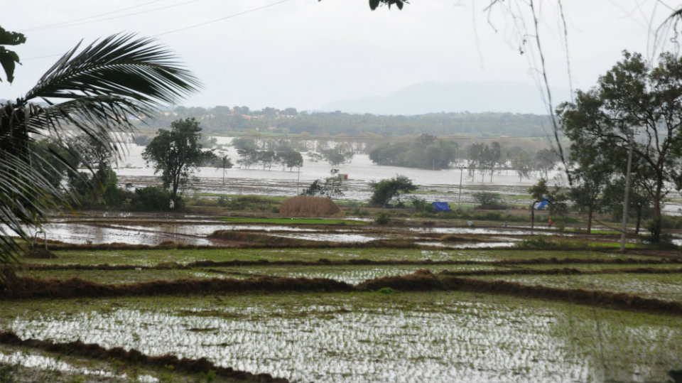 Floods unabated in Nanjangud