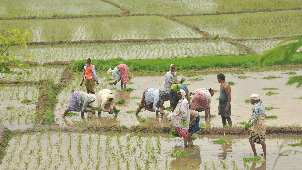 India’s farming face: Points to ponder