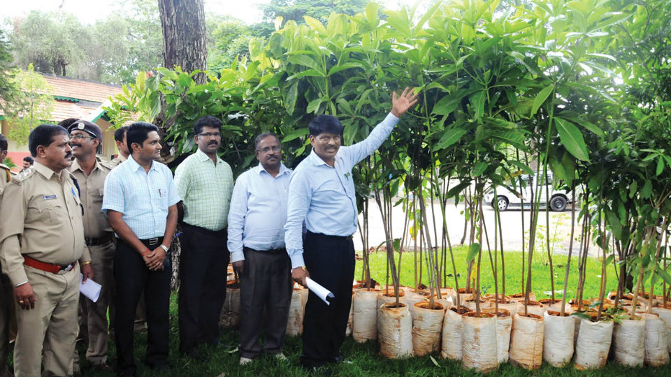 Hasiru Karnataka: GTD to launch sapling planting drive tomorrow