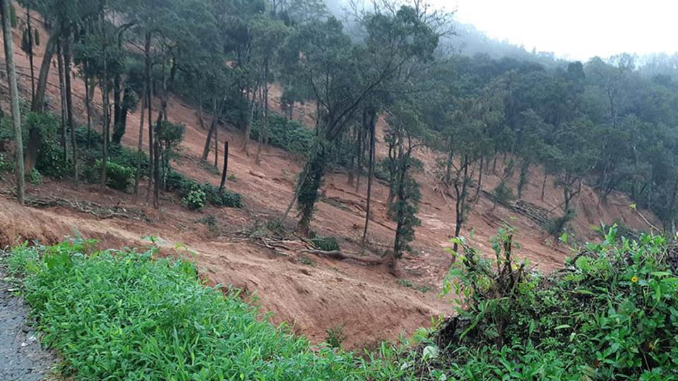 Landslide: Woman’s body found under debris