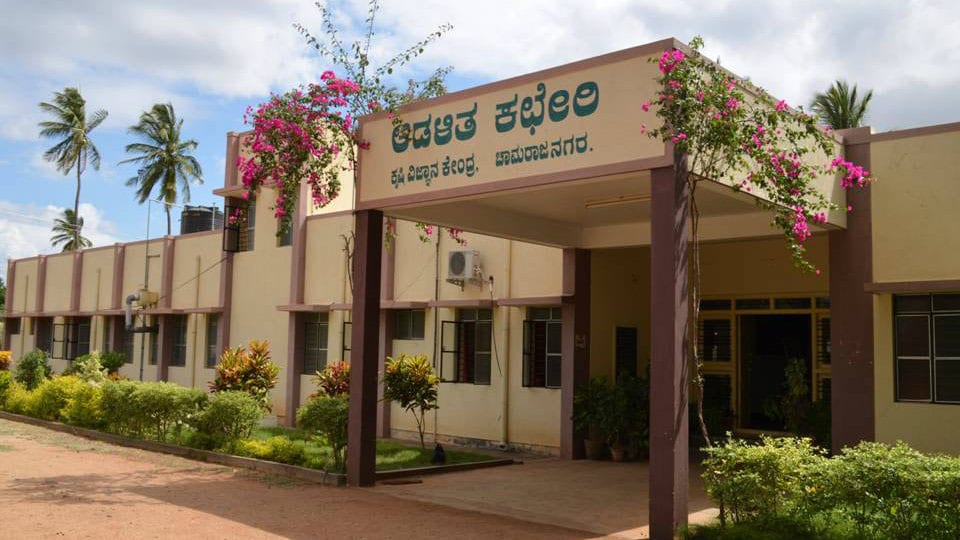 Agriculture College to open tomorrow