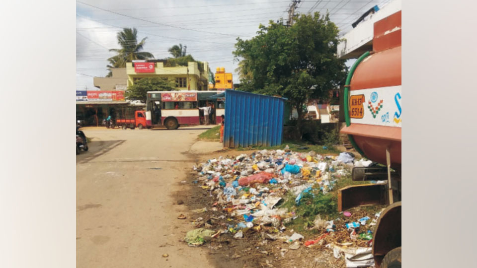 Plea to clear garbage in Bogadi