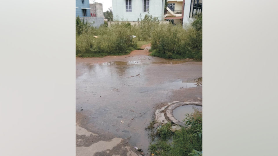 Overflowing manhole at Mahajana Layout